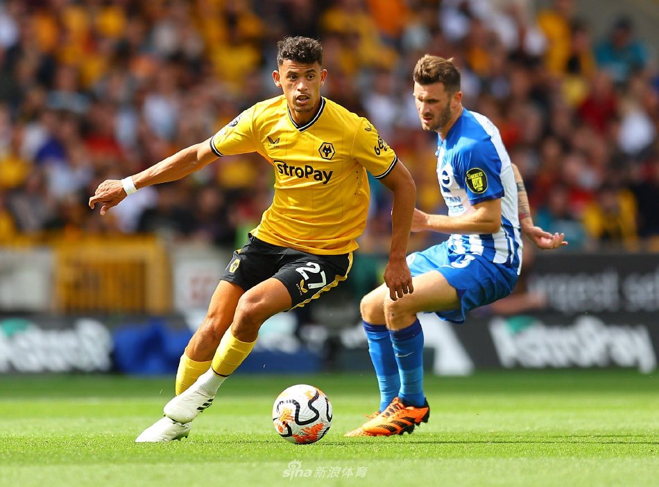 他们并未表 他们并未表